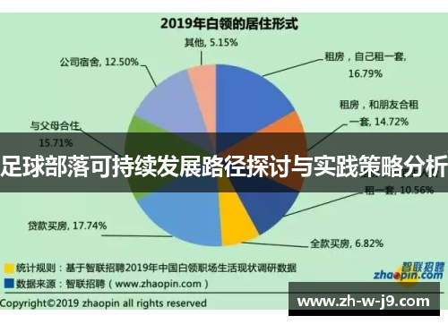 足球部落可持续发展路径探讨与实践策略分析 足球部落可持续发展路径探讨与实践策略分析