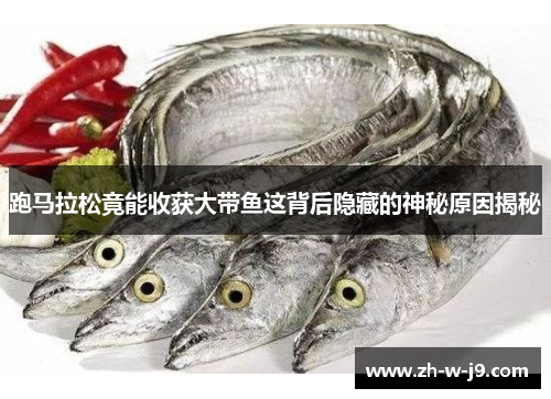 跑马拉松竟能收获大带鱼这背后隐藏的神秘原因揭秘