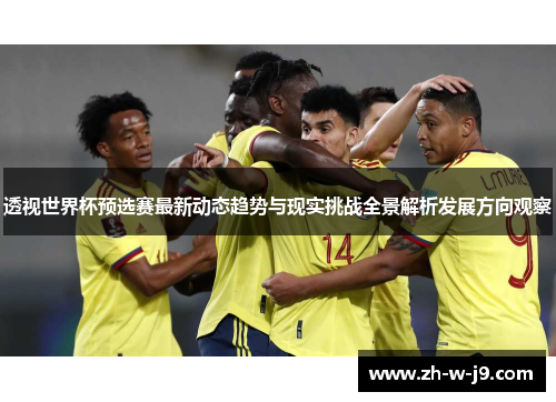 透视世界杯预选赛最新动态趋势与现实挑战全景解析发展方向观察