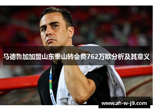 马德鲁加加盟山东泰山转会费762万欧分析及其意义
